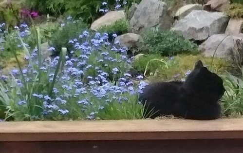 rps20180427_125748.jpg