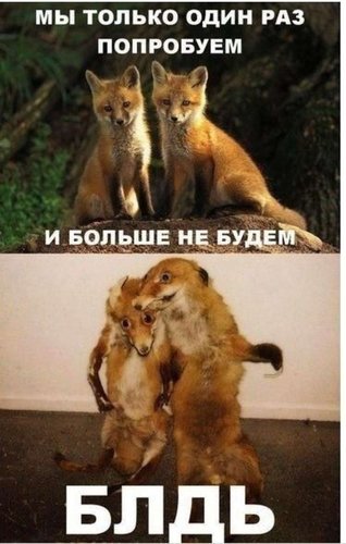 BdCruMhbszs.jpg