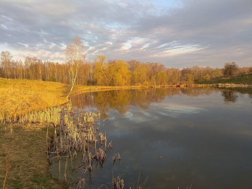 IMG_20180430_060014.jpg