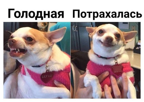 zj1Euf9au3g.jpg