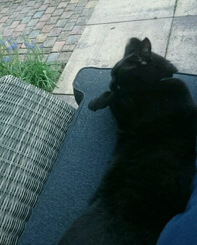 rps20180506_225511.jpg