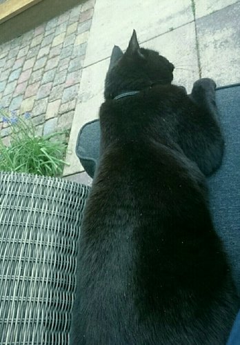 rps20180506_225405.jpg