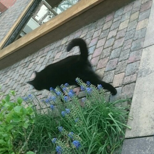 rps20180506_224747.jpg
