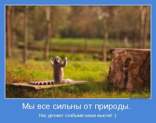 motivator-39392.jpg