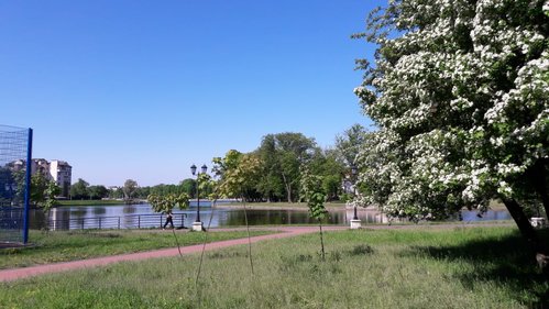 IMG-20180512-WA0002.jpg