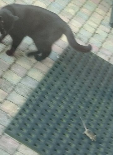 rps20180515_161709.jpg
