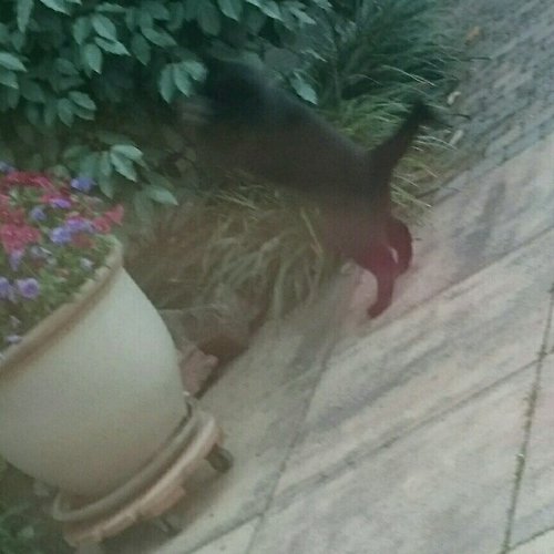 rps20180515_162250.jpg