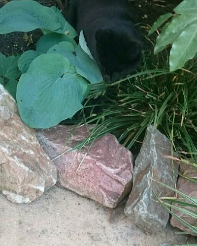rps20180515_164028.jpg