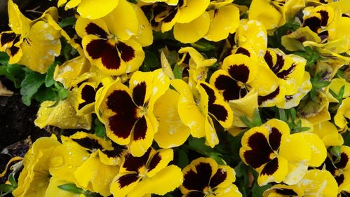 IMG-20180515-WA0015.jpg