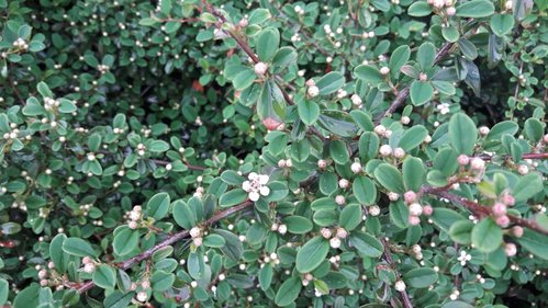IMG-20180515-WA0014.jpg