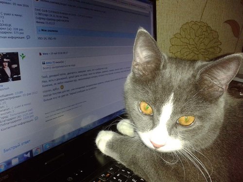 20180519_170305.jpg