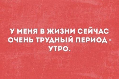 74186F03-7AF5-468A-9493-248D956F40D7.jpeg