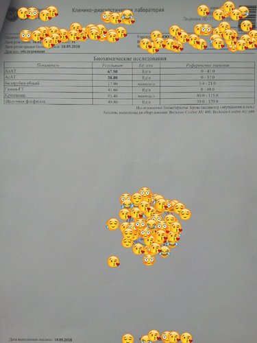 img1526899722660~01.jpg