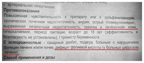 Отрывок анатации к &quot;Триампуру&quot;