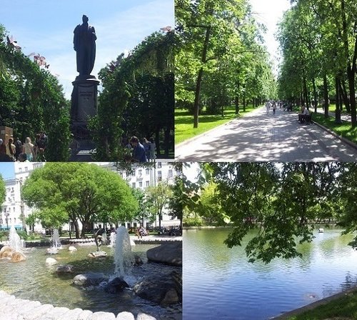20180527_115535.jpg