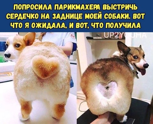 5EB8AD21-0BA3-45F1-8D64-F63E2B1F6633.jpeg