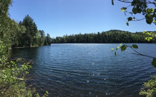 IMG_3643.JPG