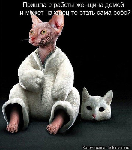IMG-20180607-WA0008.jpg