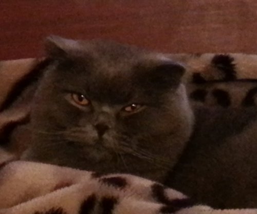 20120831_225748.jpg