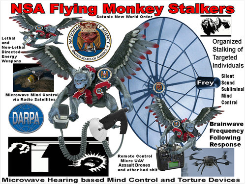 NSA_Flying_Monkeys_X.jpg
