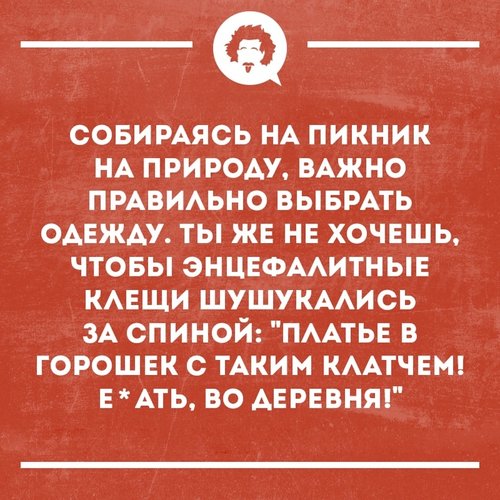 4882C313-BFCA-4A0D-B68D-5F3D83EFF62A.jpeg