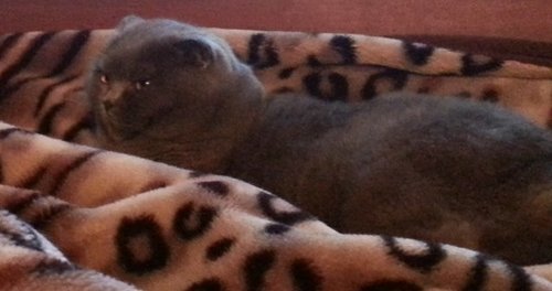20120831_224814.jpg