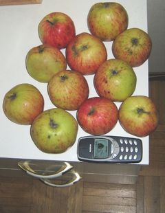 4a642e0576021efac3c864c362a1402e_big.jpg