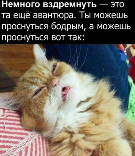 1529750732209_11687760.jpg