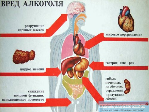Vred-alkogolya-1..jpg