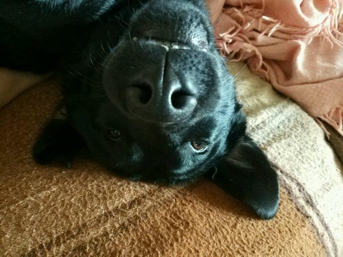 IMG-20170627-WA0001.jpg