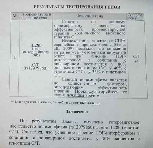 Генотип.jpg