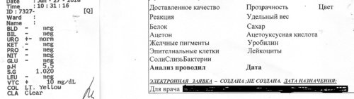 анализы (3).jpg