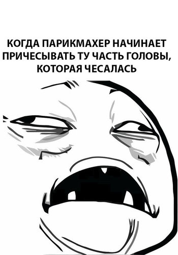 1531415943641_11766647.jpg