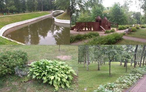 IMG_20180714_151303.jpg