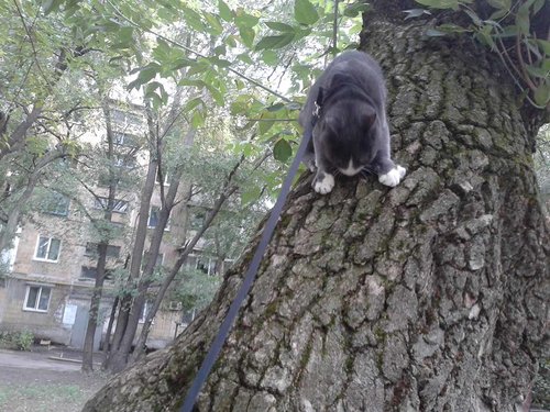 20180717_185050.jpg