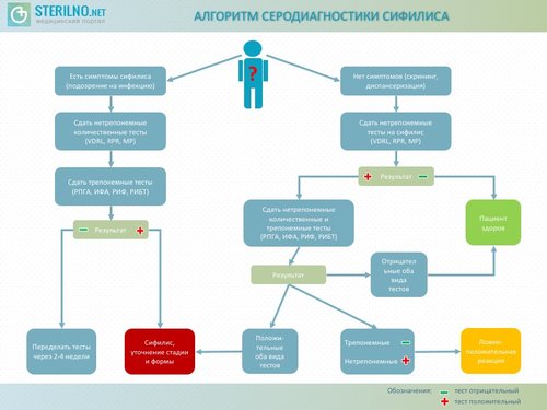 Алгоритм-сифилис-2.jpg