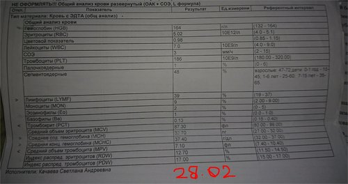 DSC_0447-crop.JPG
