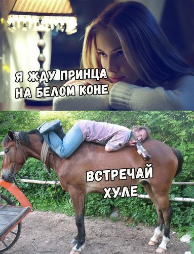 1532585128387_image.jpg