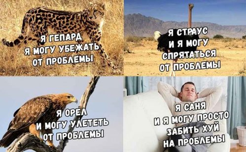 1532691234881_11823095.jpg