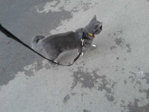 20180717_185504.jpg