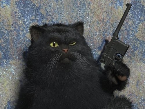 image.jpeg