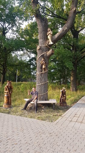 20180830_181254.HvdHs-min.jpg