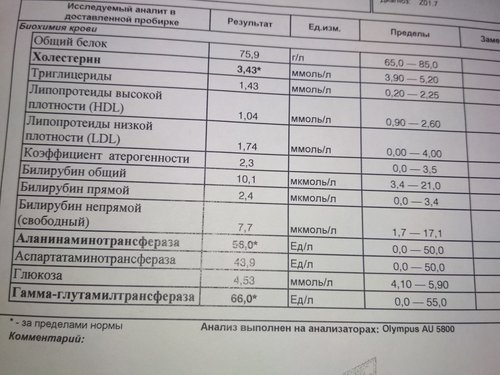 1536188459342..jpg