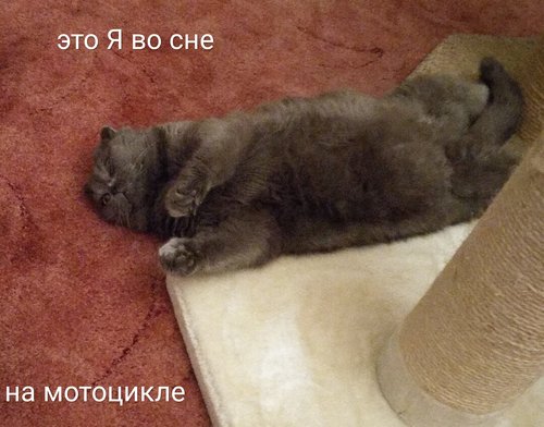 IMG_20180906_184357.jpg