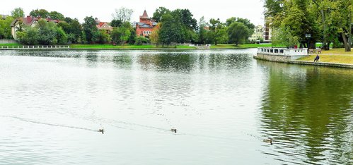 20180912_154019.jpg