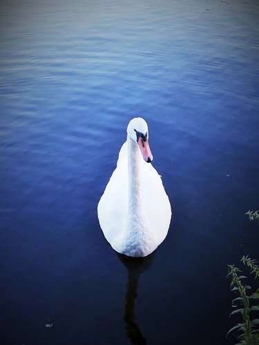 IMG-20180910-WA0010.jpg
