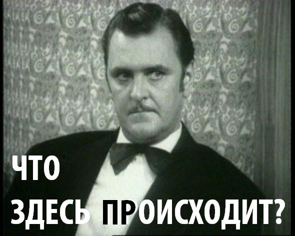 macro_что_здесь_происходит.jpg