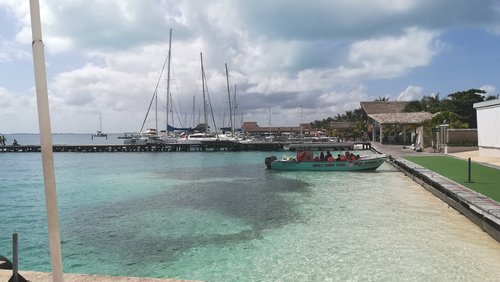 IMG_20180927_143613.jpg