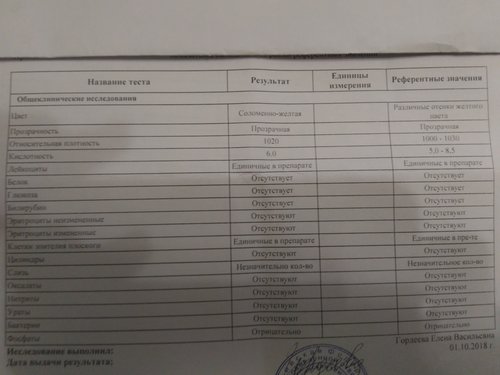 P_20181005_153857.jpg
