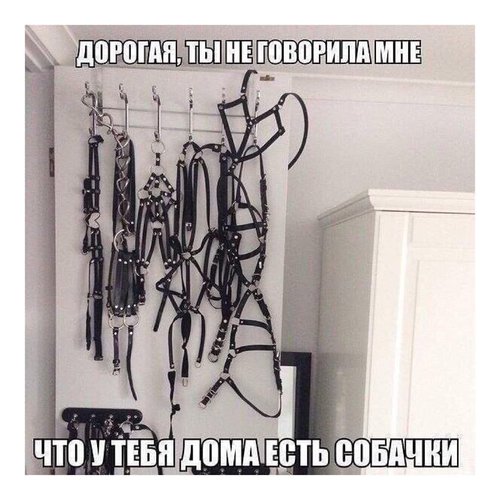 3A8183E9-1B7B-4D5C-AE5A-90D3F5698591.jpeg